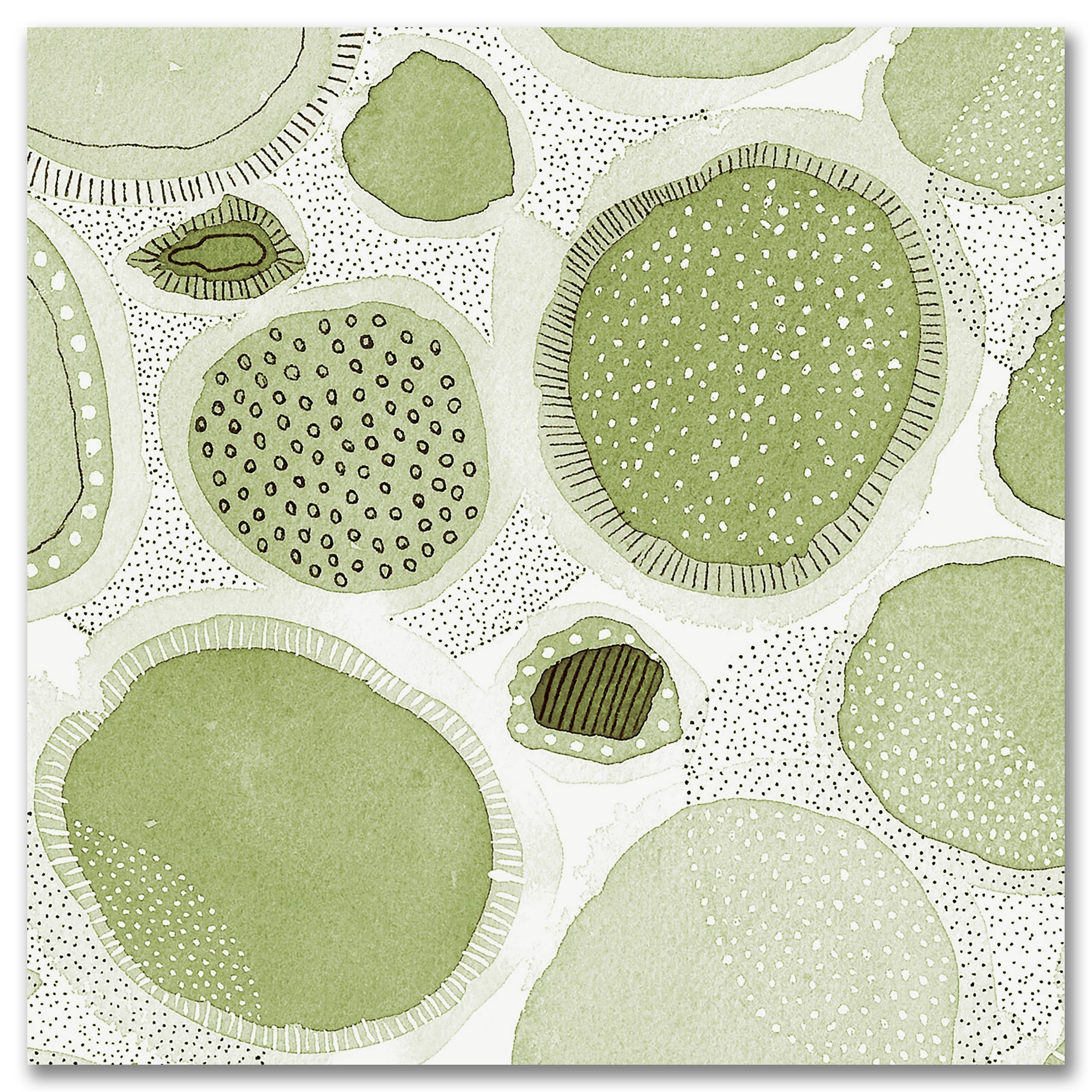 Nature Evolved I - Gallery Wrapped Canvas