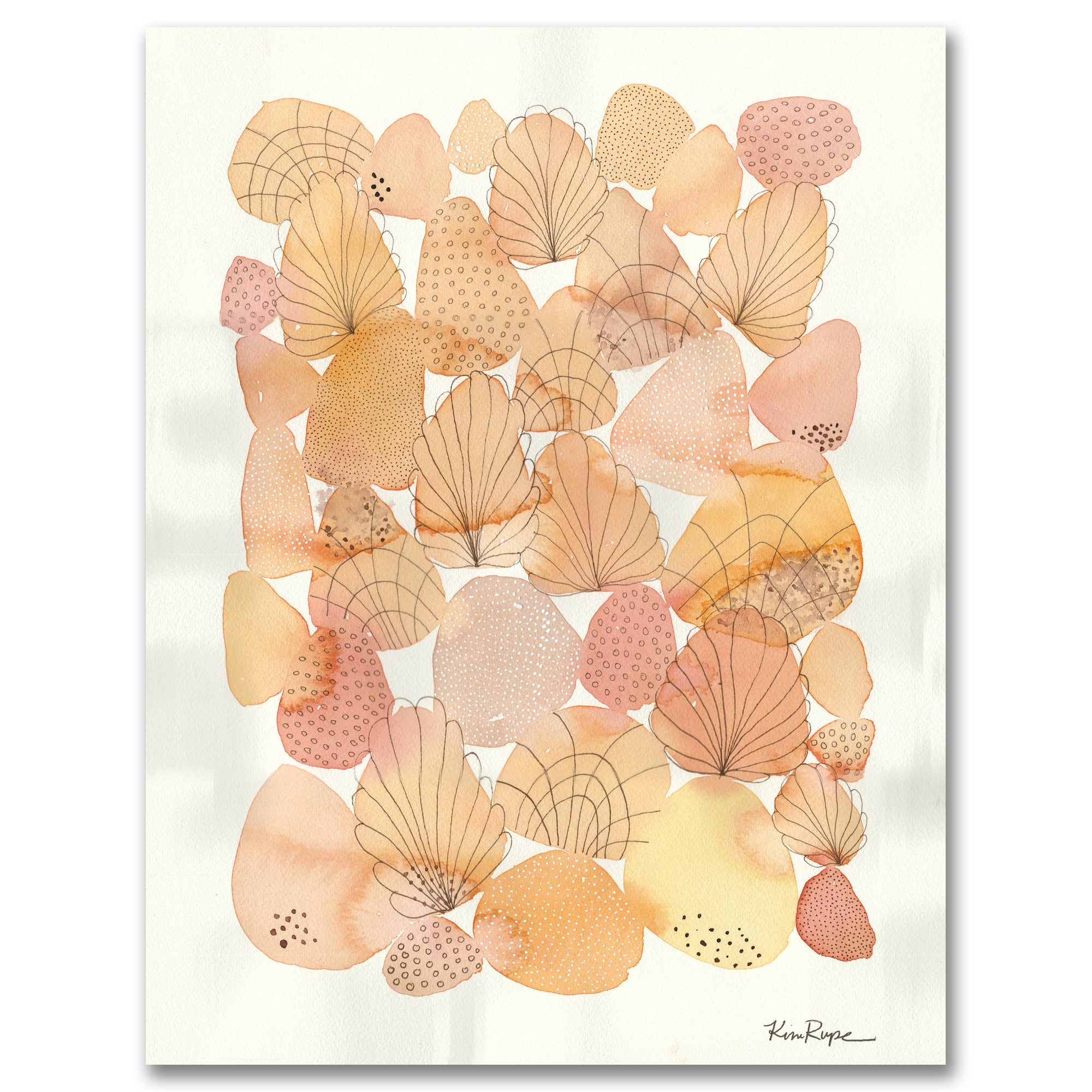 Shells - Gallery Wrapped Canvas