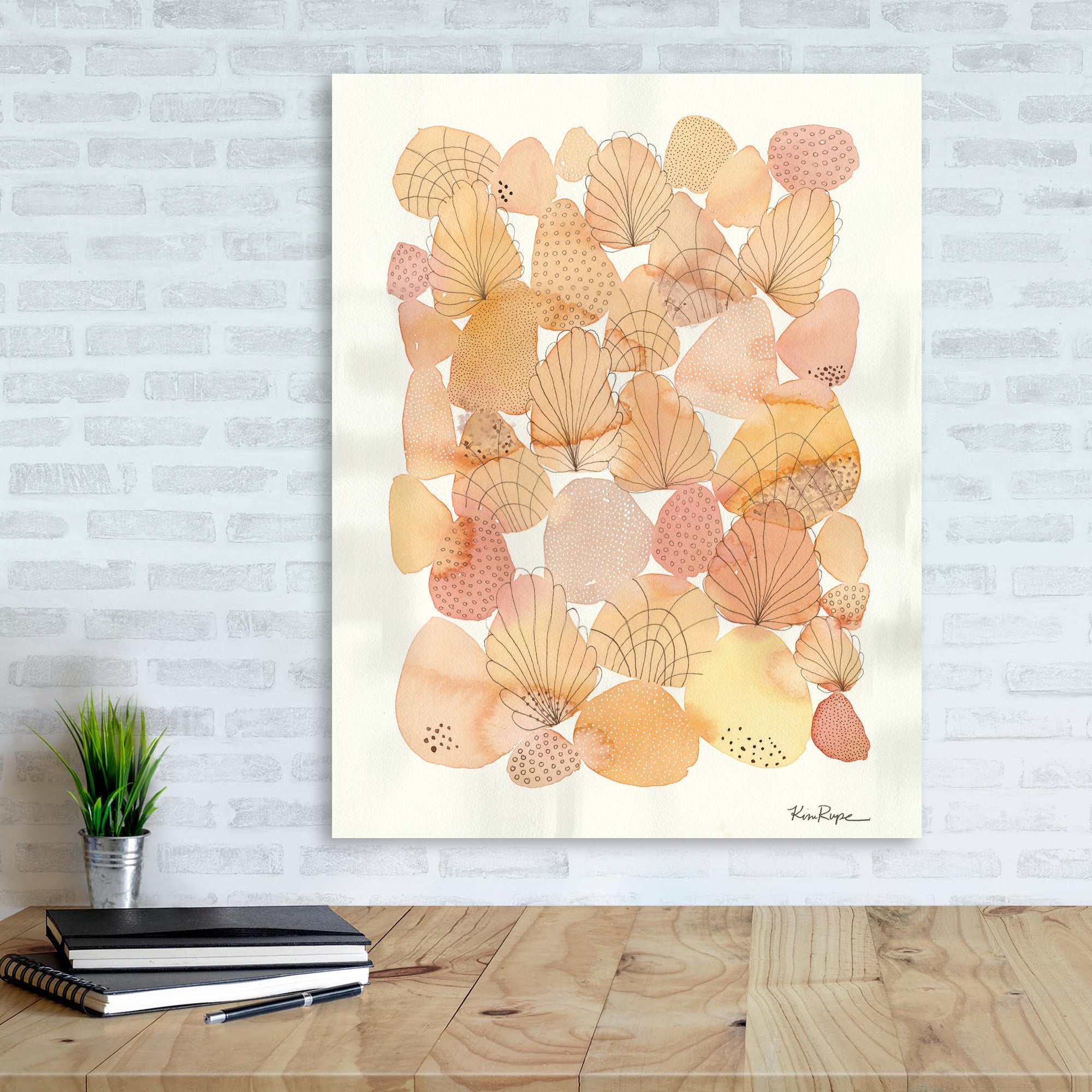 Shells - Gallery Wrapped Canvas
