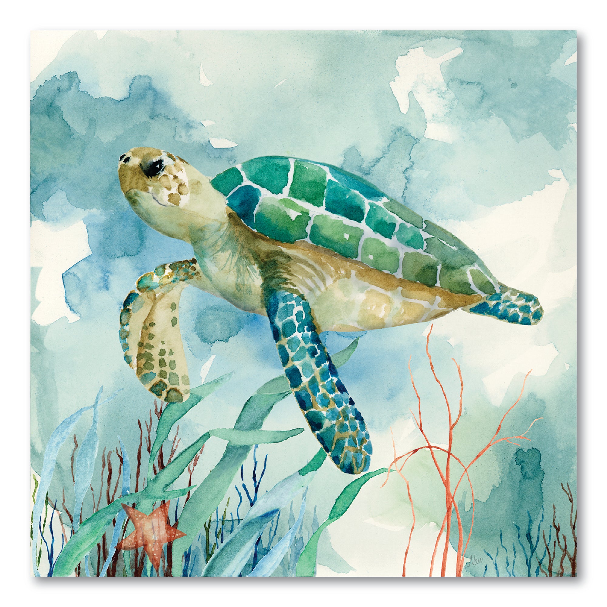 Coral Bay Sea Turtle II Gallery-Wrapped Canvas Wall Art