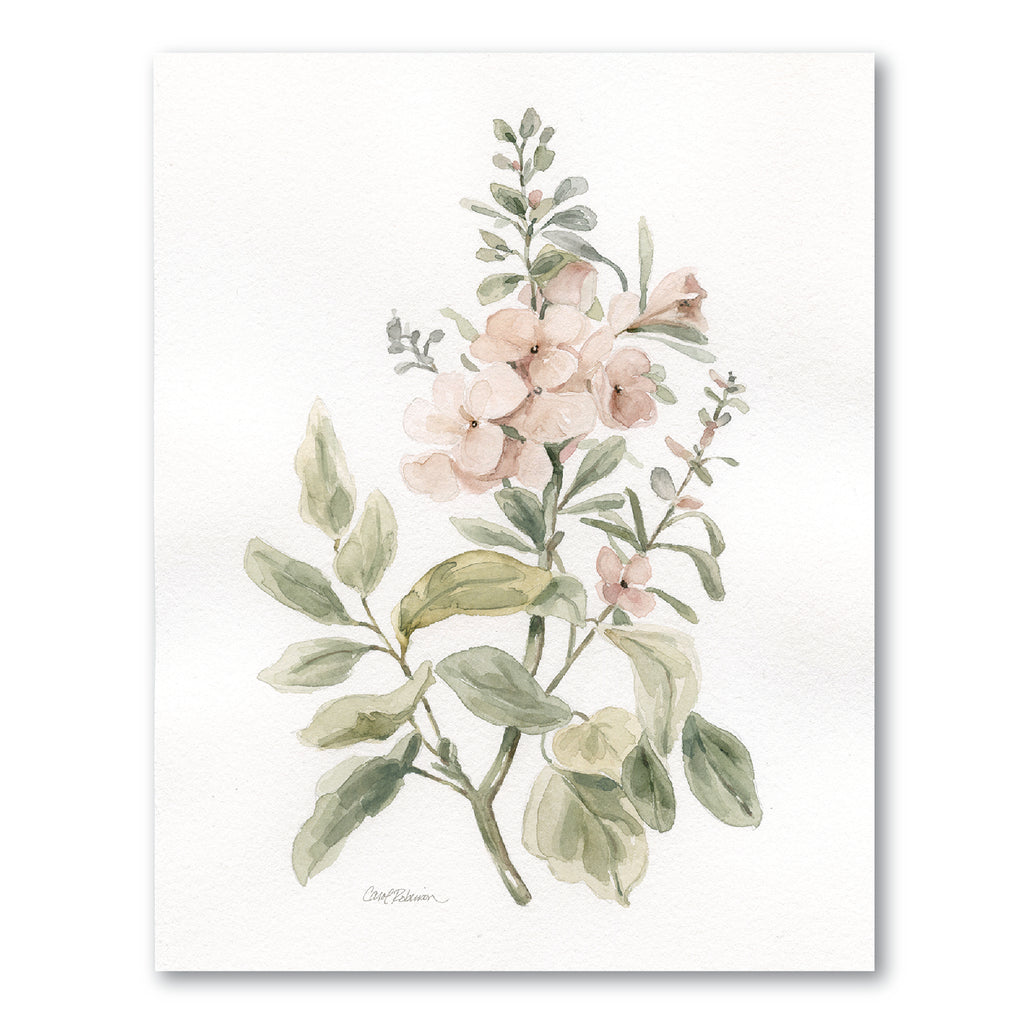 Antique Botanical II Gallery-Wrapped Canvas Wall Art