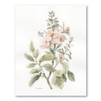 Antique Botanical II Gallery-Wrapped Canvas Wall Art