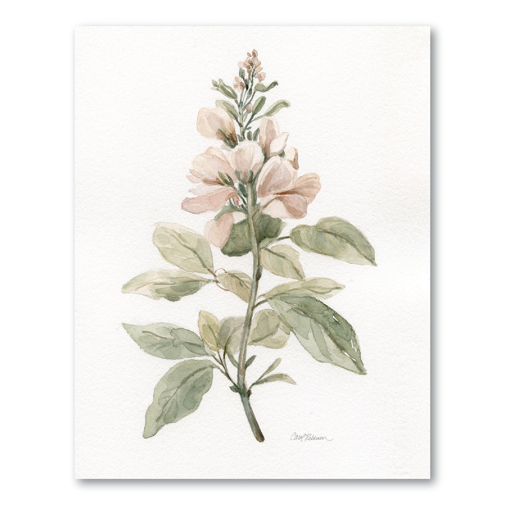 Antique Botanical III Gallery-Wrapped Canvas Wall Art