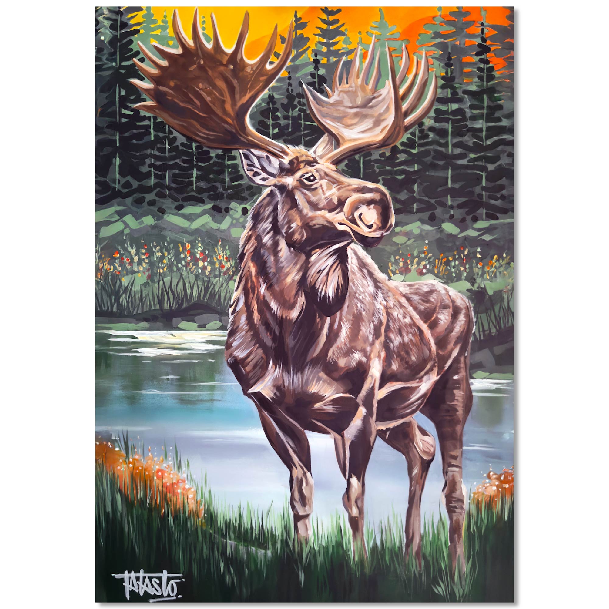 Moose - Todd Laslo Collection - Gallery Wrapped Canvas
