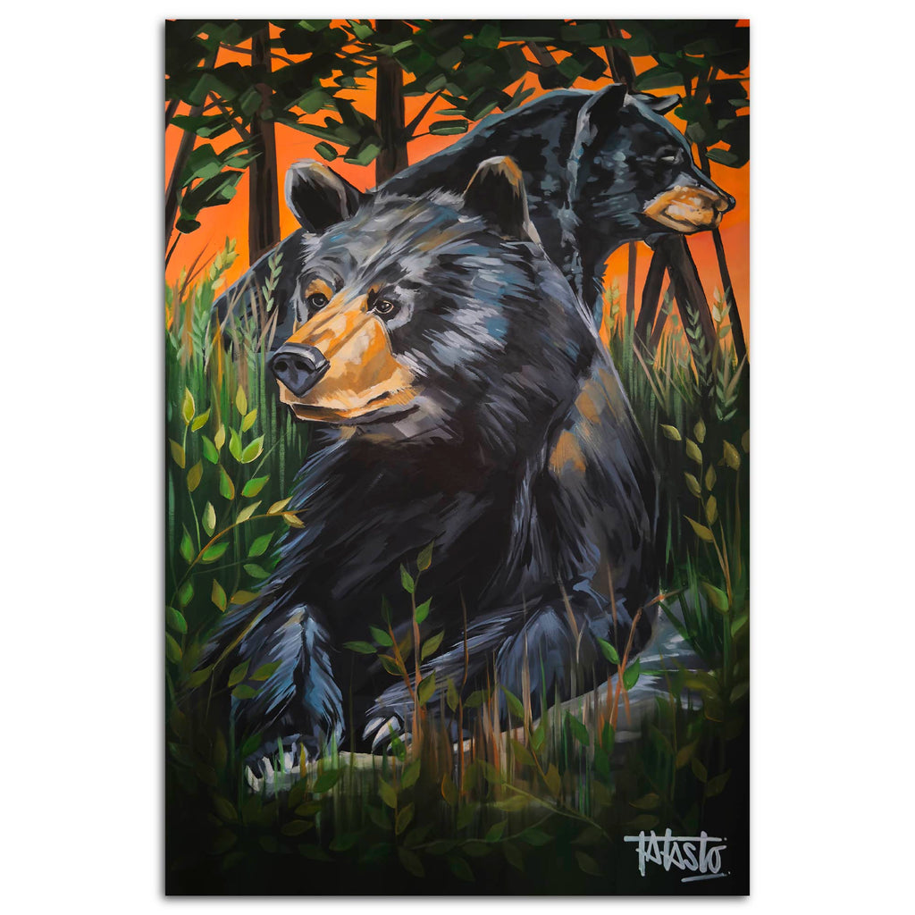 Studio Series - Black Bears - Todd Laslo Collection