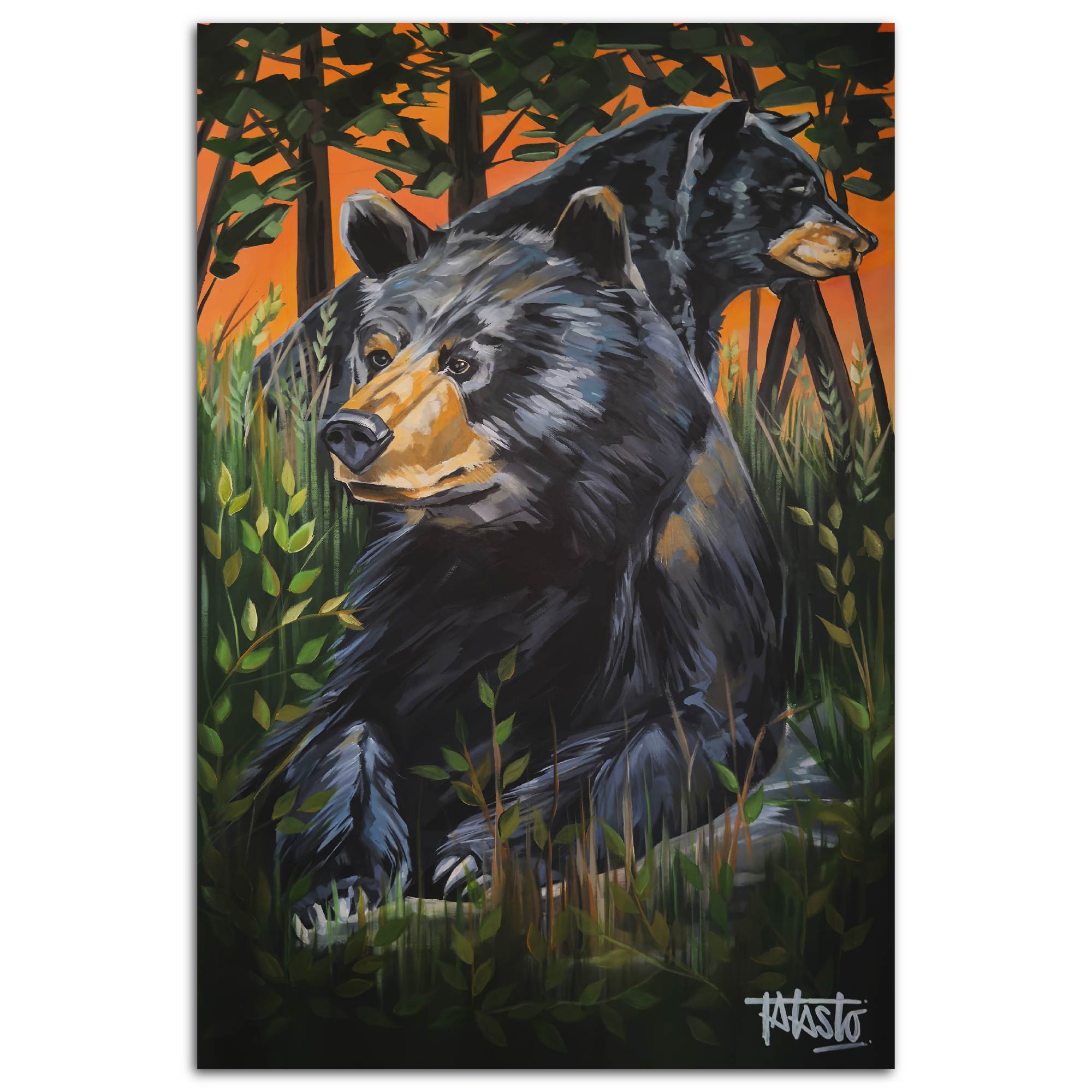 Studio Series - Black Bears - Todd Laslo Collection