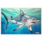 Studio Series - Tiger Shark - Todd Laslo