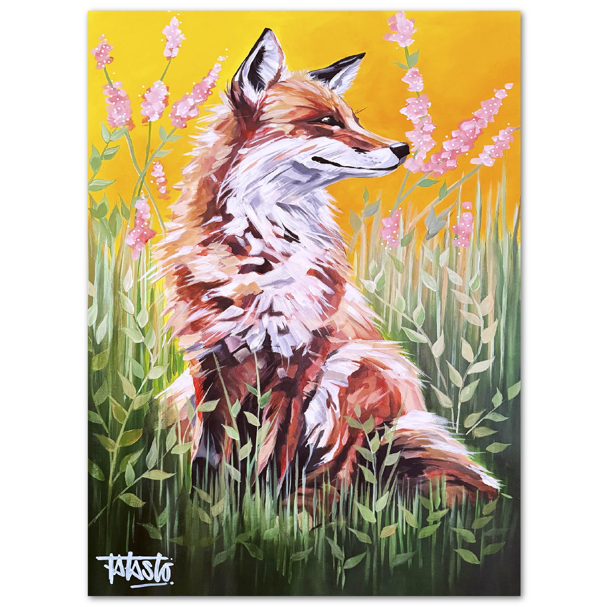 Studio Series - Fox - Todd Laslo Collection