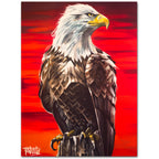Studio Series - Eagle - Todd Laslo Collection