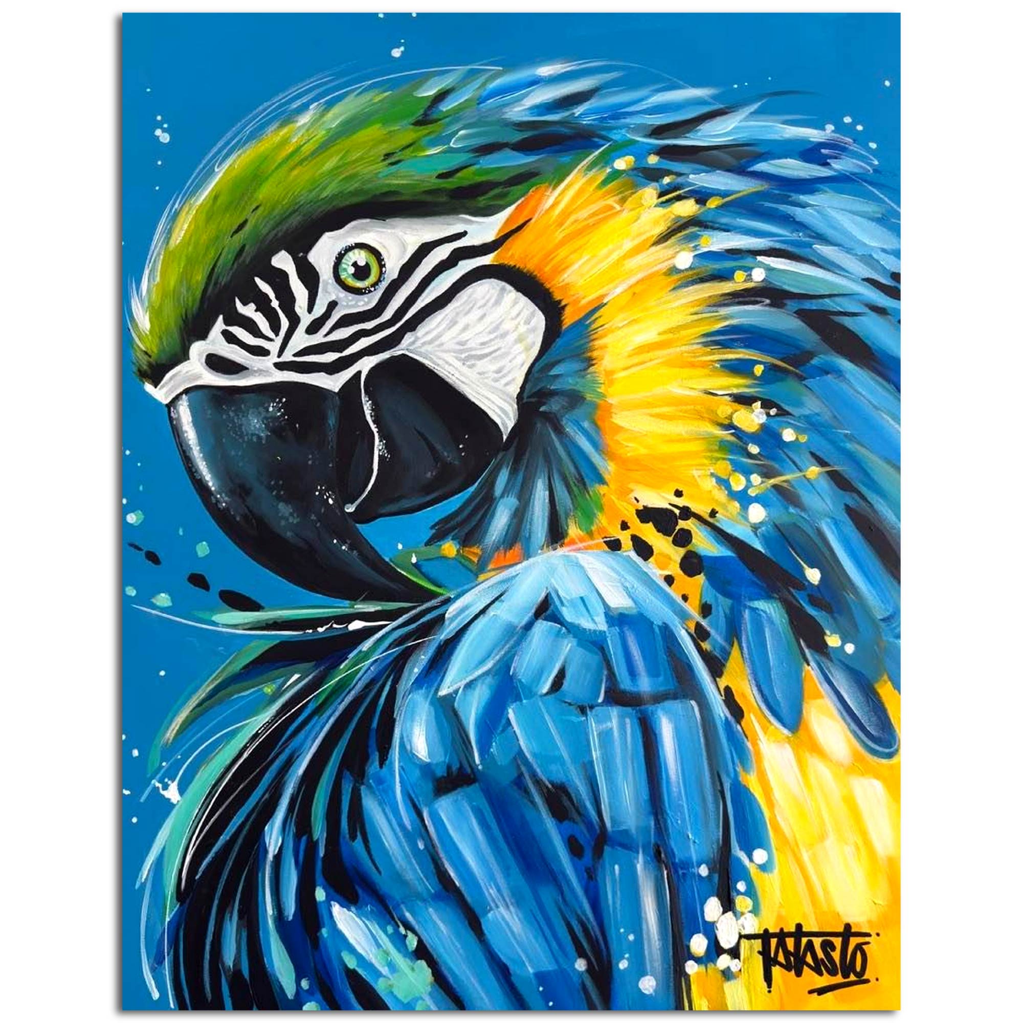Parrot - Gallery Wrapped Canvas - Todd Laslo Collection