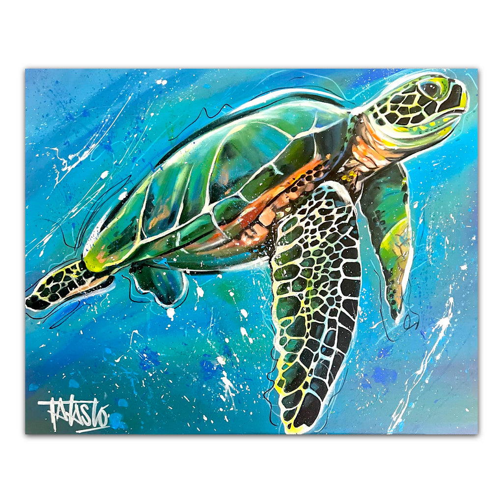 Studio Series - Seaturtle - Todd Laslo