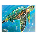 Studio Series - Seaturtle - Todd Laslo
