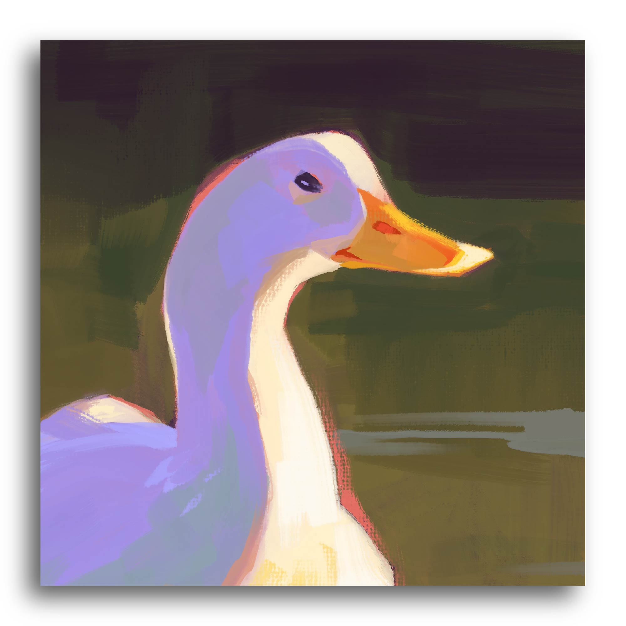 Studio Series - "Duck" - Ambrosia Collection