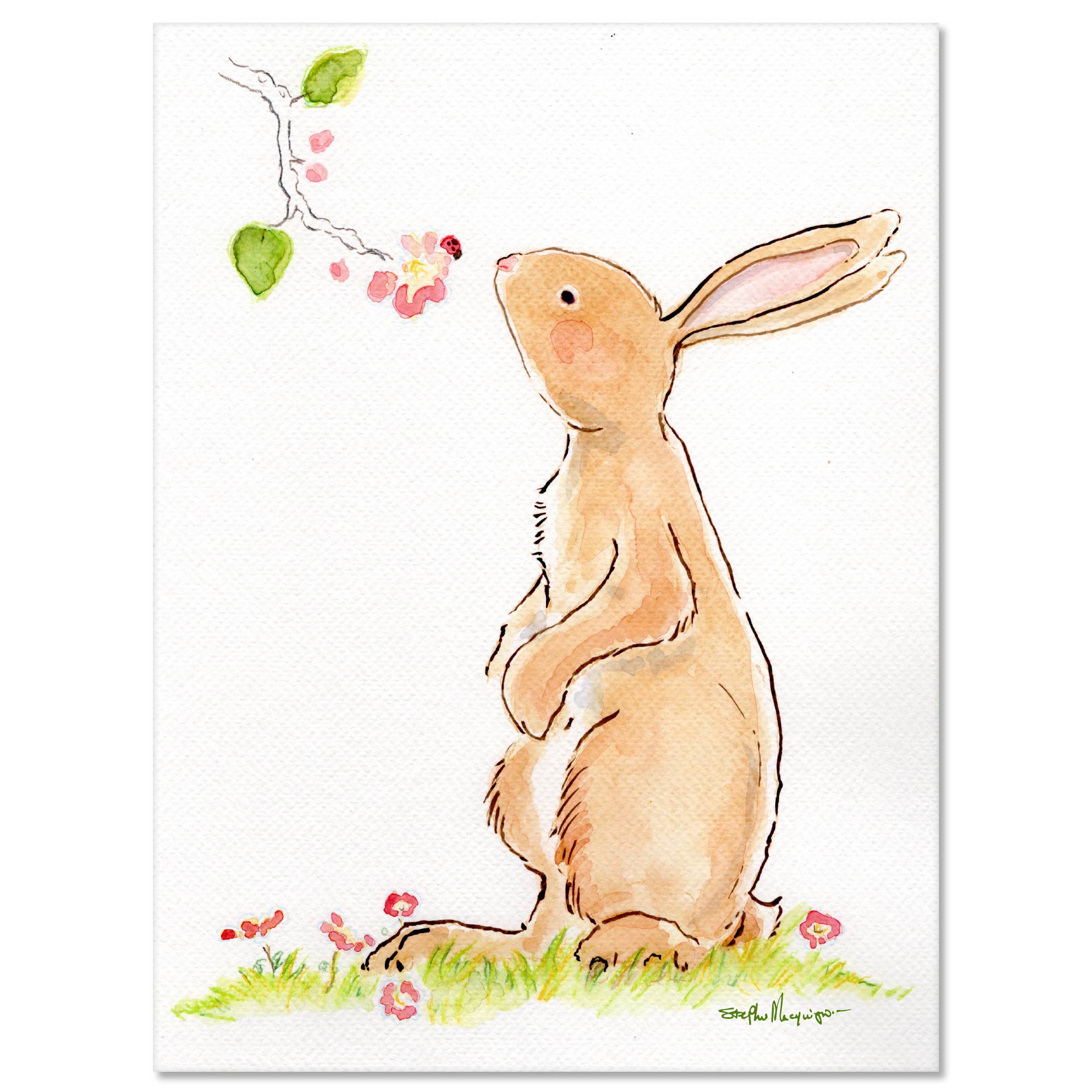 Studio Series - Bunny 4 - Gallery-Wrapped Canvas Wall Art