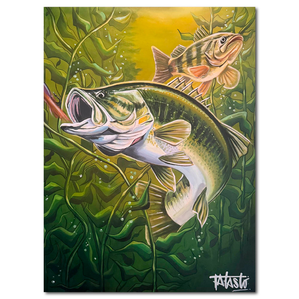 Studio Series - Bass - Todd Laslo Collection