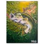 Studio Series - Bass - Todd Laslo Collection