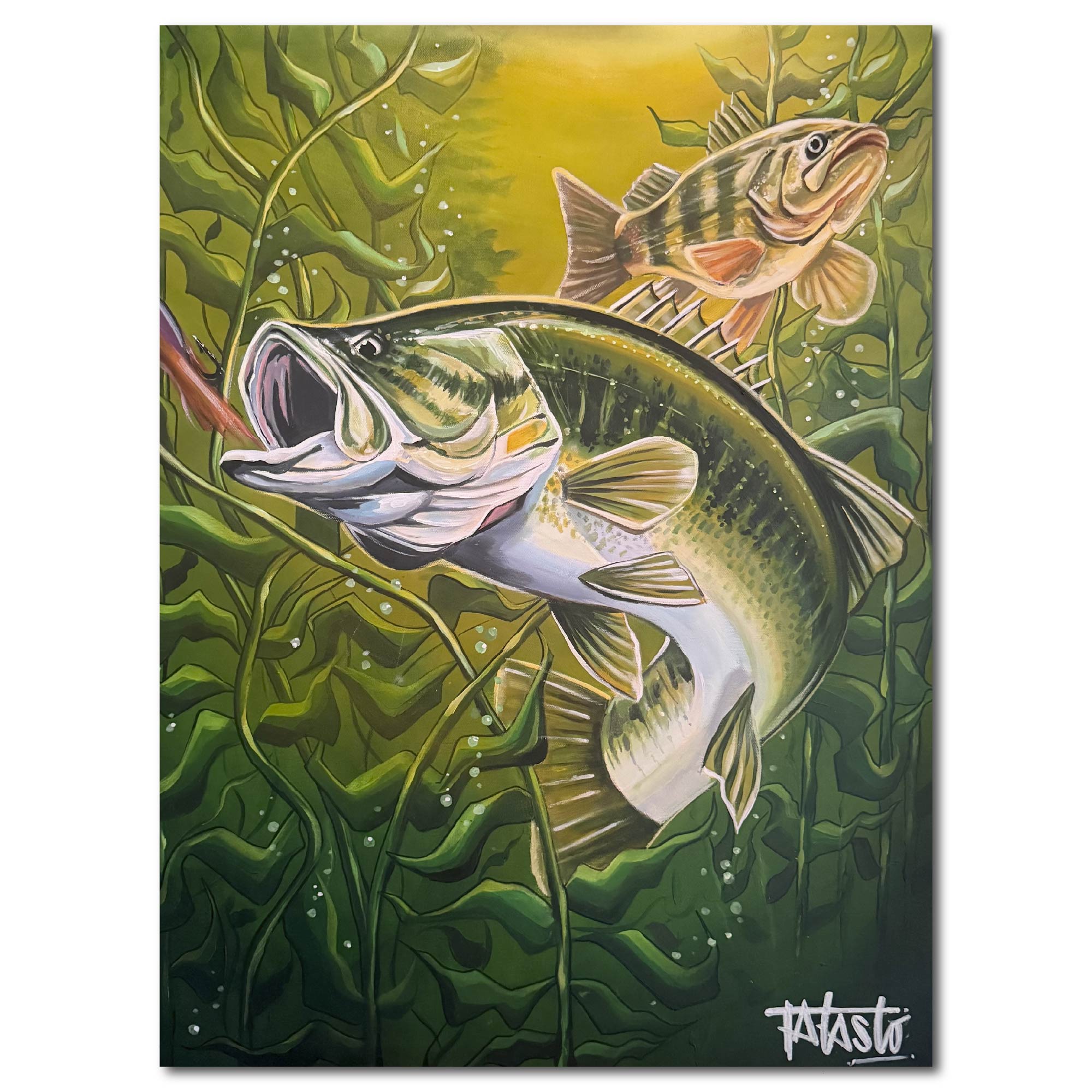 Studio Series - Bass - Todd Laslo Collection