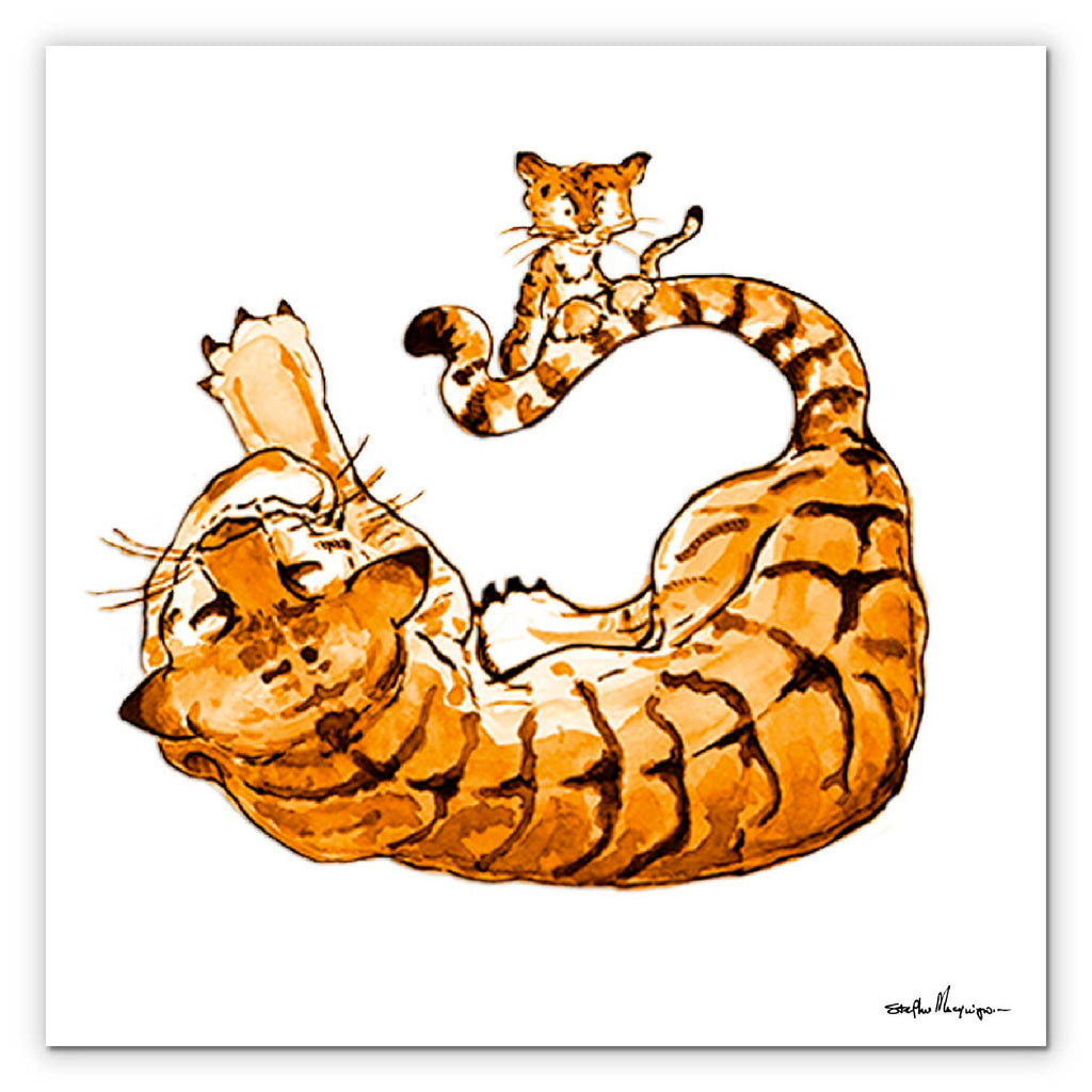 Studio Series - Catch! - Gallery Wrapped Canvas - Stephen Macquignon Collection