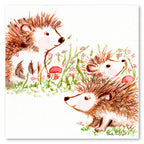 Studio Series - Hedgehogs - Stephen Macquignon Collection