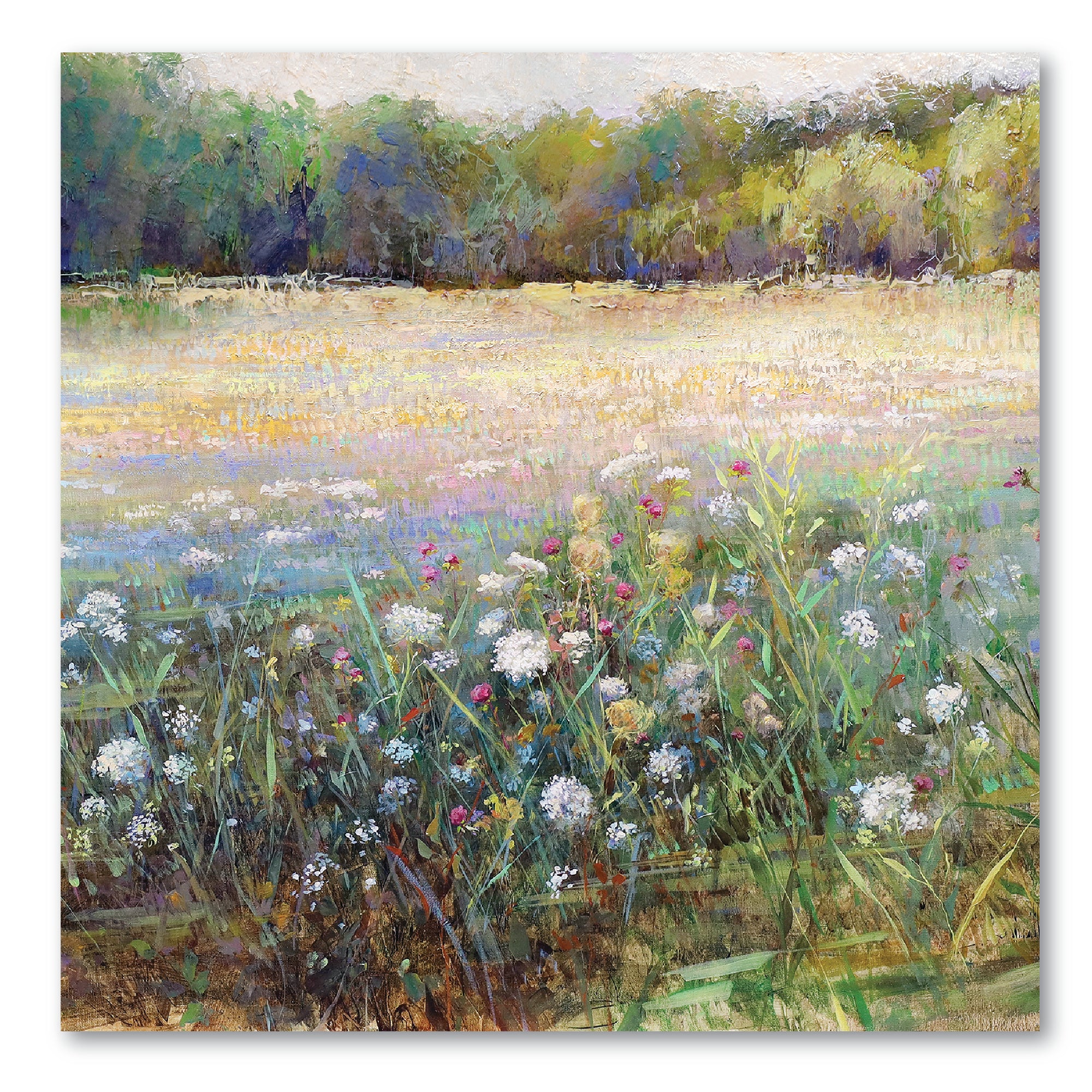 Morning Field Gallery-Wrapped Canvas Wall Art