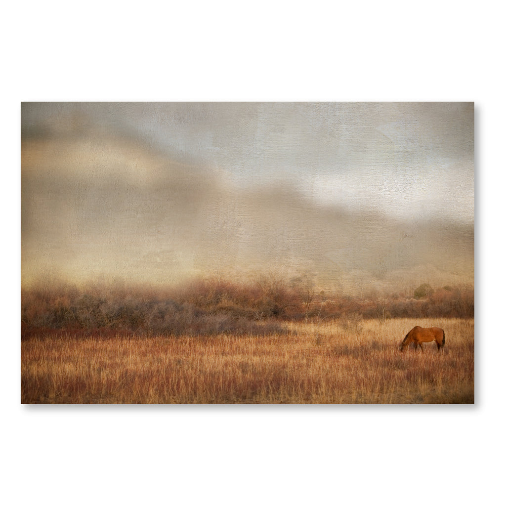 Grazing at Sunset Gallery-Wrapped Canvas Wall Art