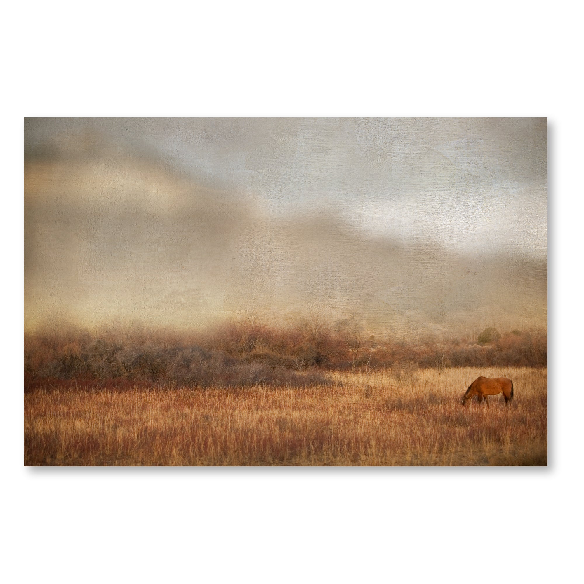 Grazing at Sunset Gallery-Wrapped Canvas Wall Art