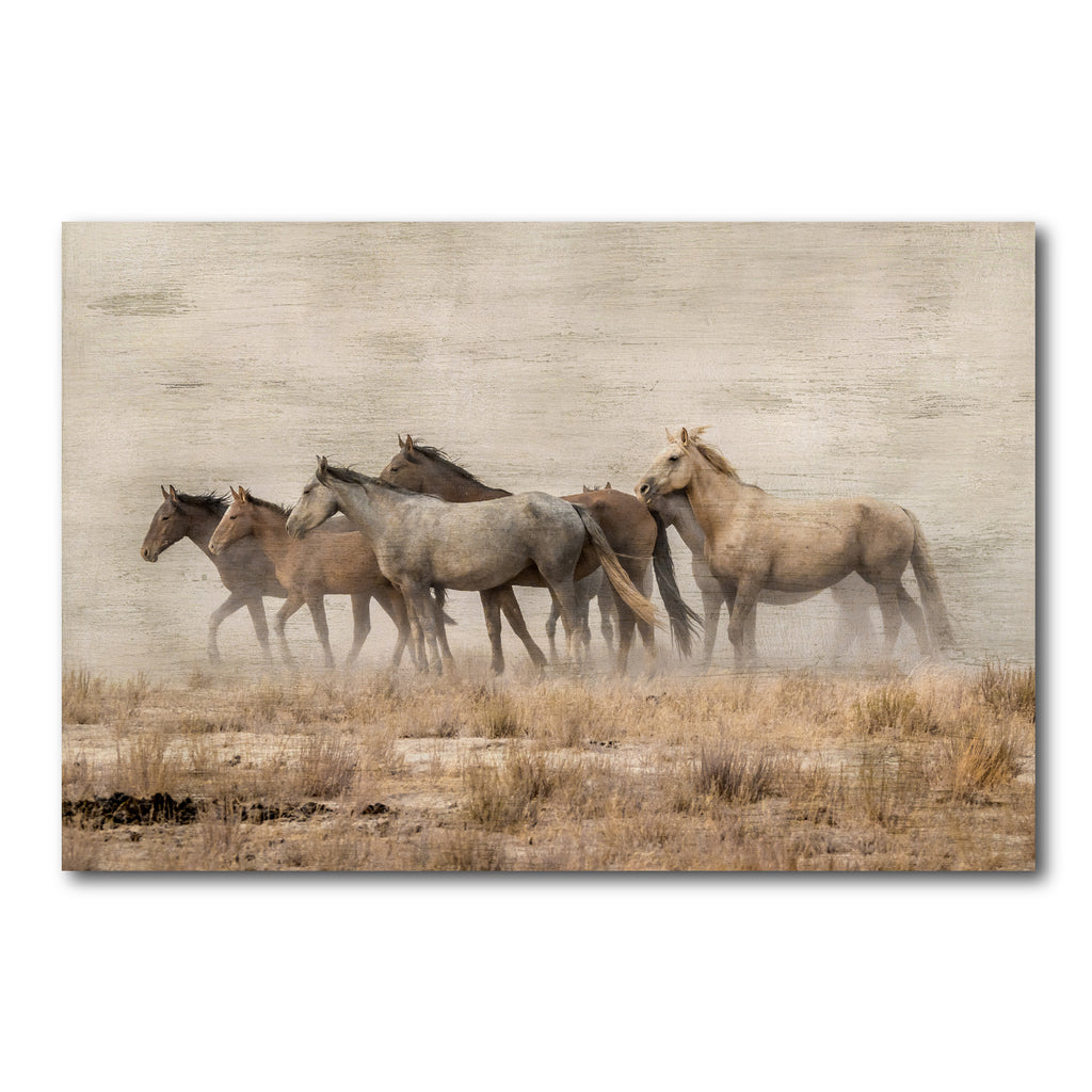 Roaming Free Gallery-Wrapped Canvas Wall Art