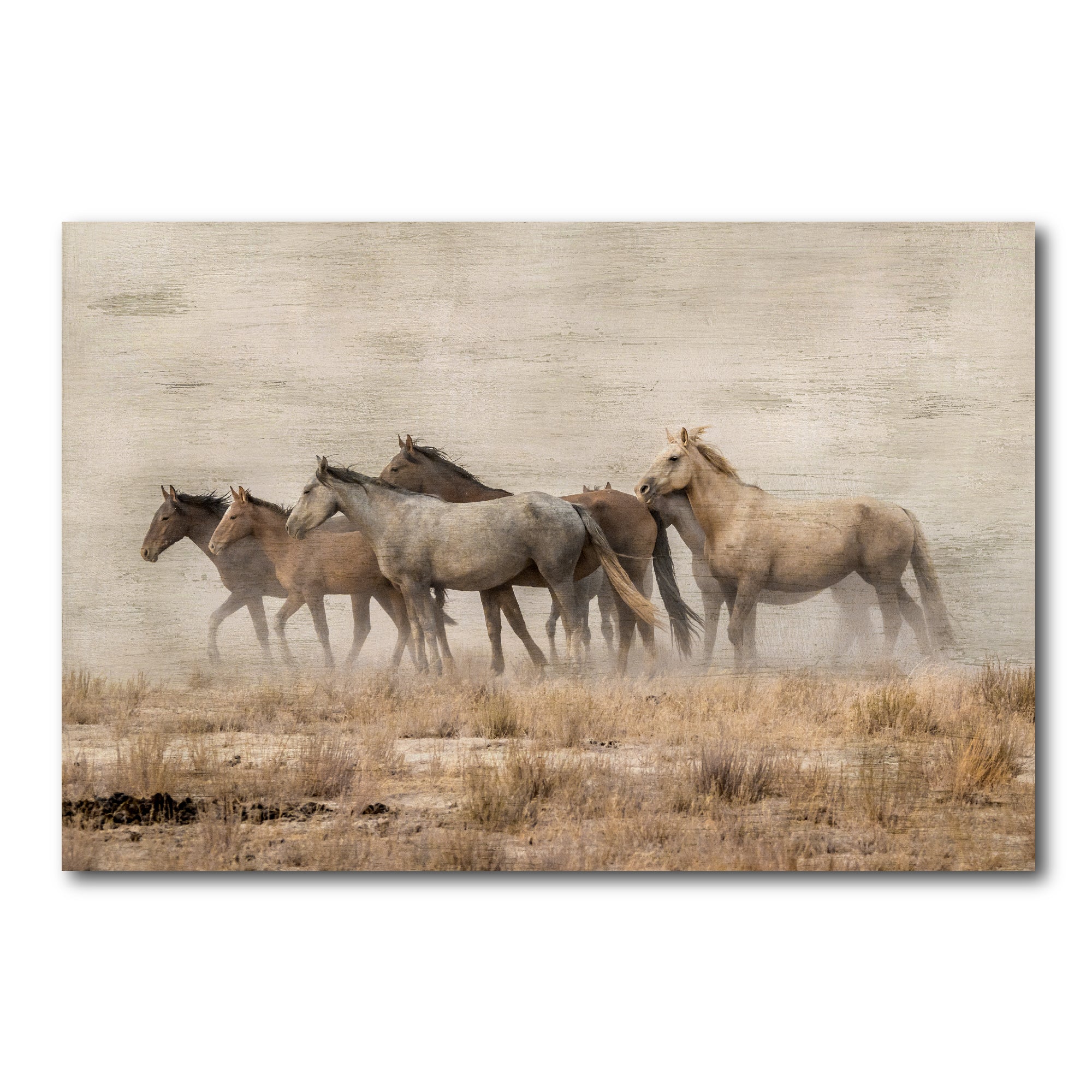 Roaming Free Gallery-Wrapped Canvas Wall Art