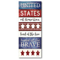 Celebrate 250 United States Gallery-Wrapped Canvas Wall Art with Wounded Warrior Project