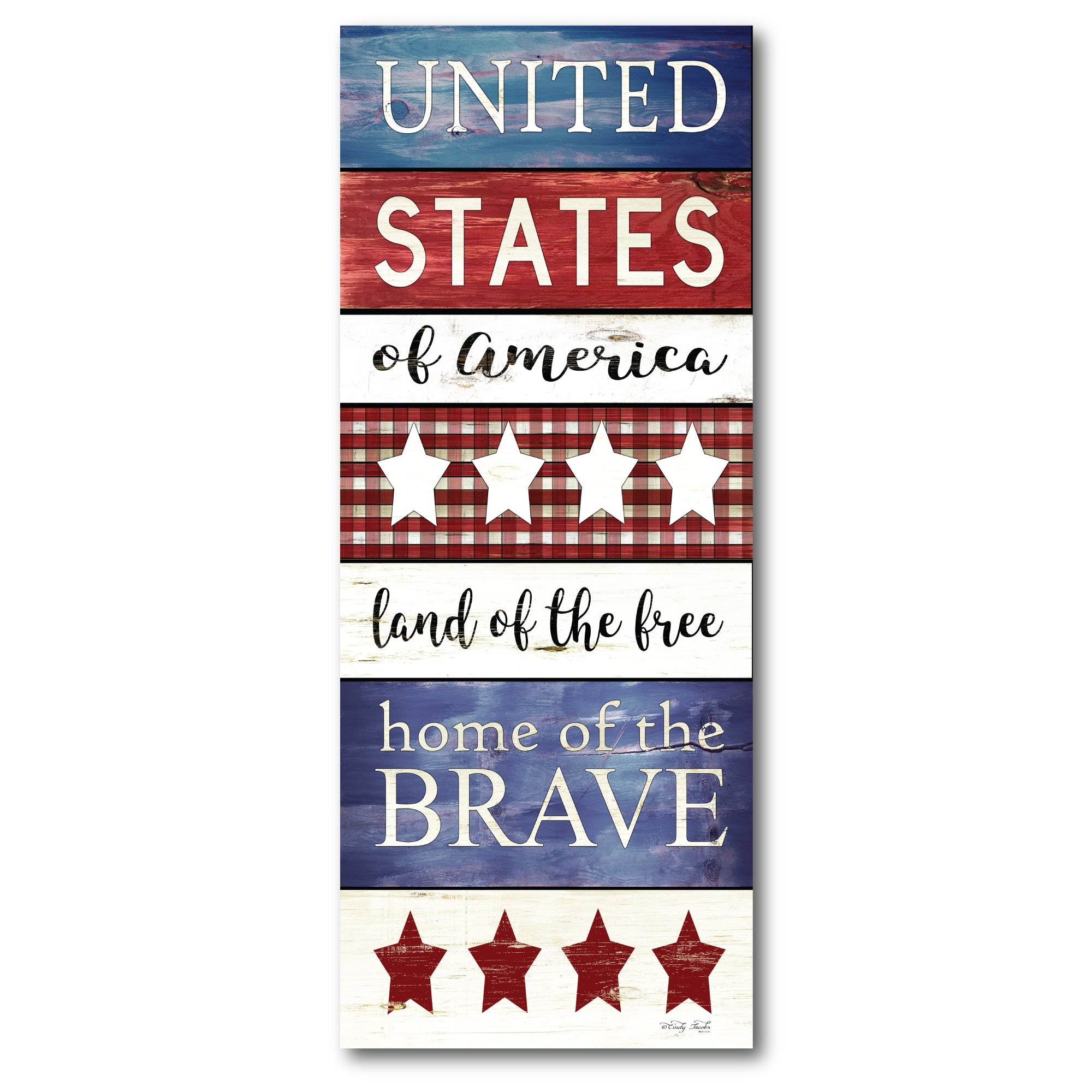 Celebrate 250 United States Gallery-Wrapped Canvas Wall Art with Wounded Warrior Project