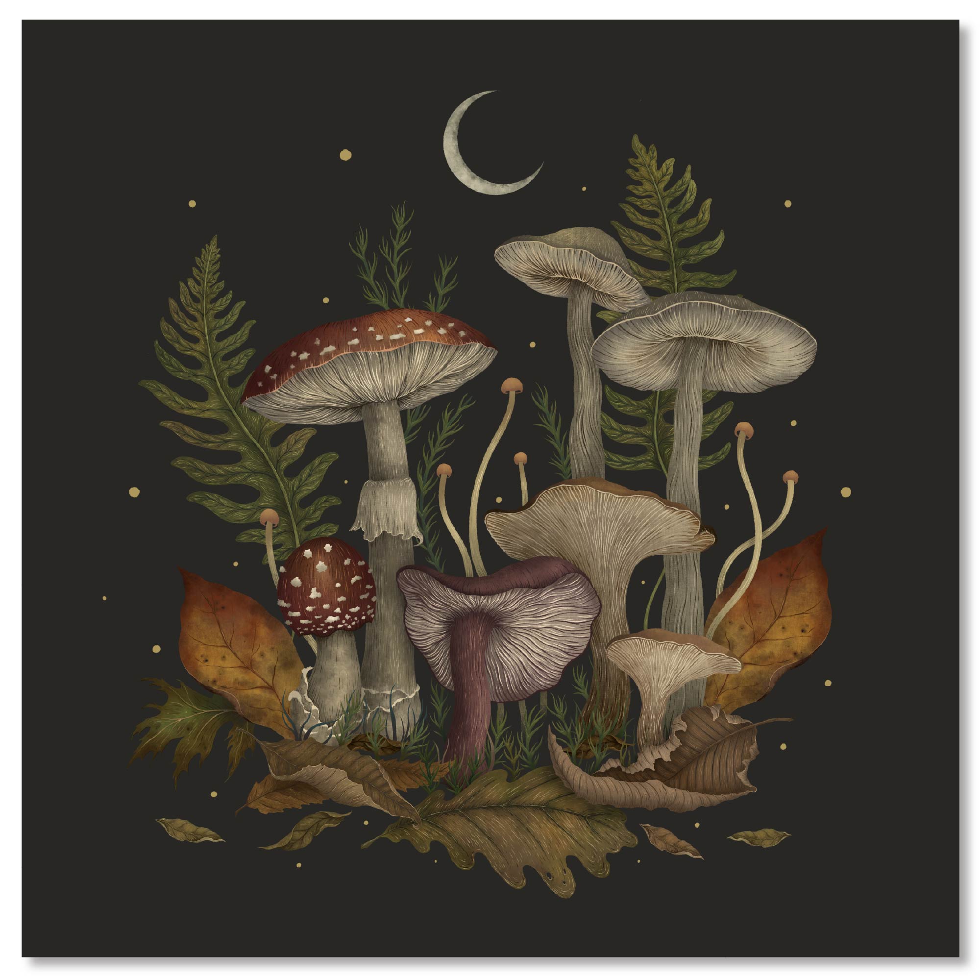 Autumn Mushrooms Gallery-Wrapped Canvas Wall Art