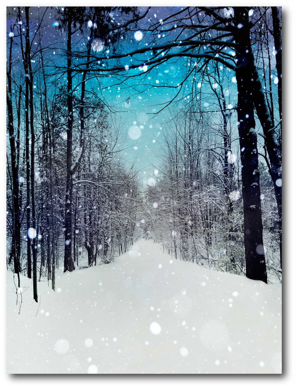 Winter Wonderland Gallery-Wrapped Canvas Wall Art