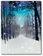 Winter Wonderland Gallery-Wrapped Canvas Wall Art