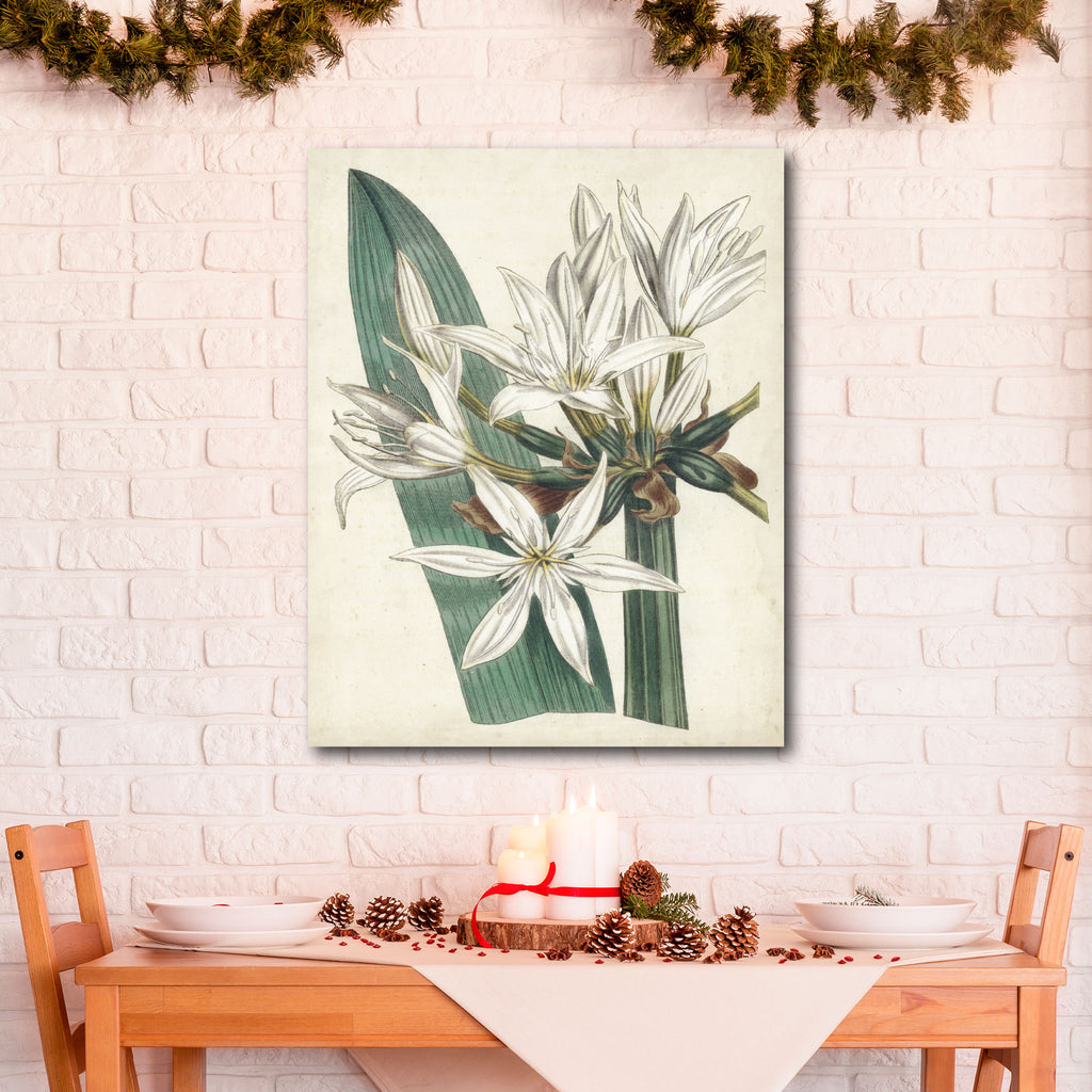 Holiday Botanical Gallery-Wrapped Canvas Wall Art