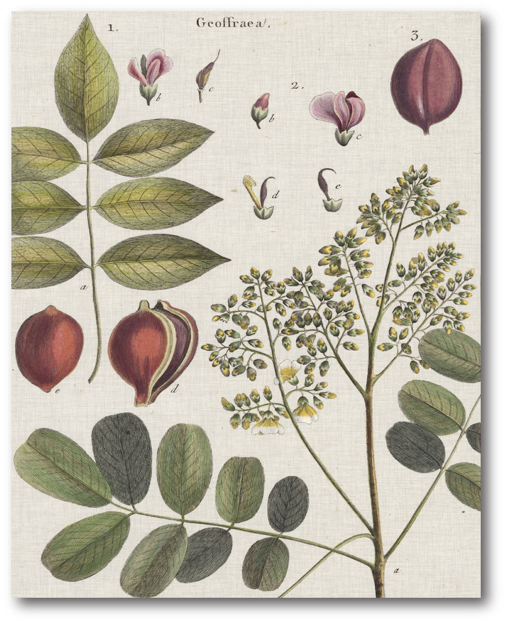 Holiday Botanical II Gallery-Wrapped Canvas Wall Art