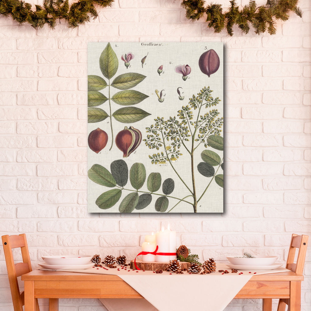 Holiday Botanical II Gallery-Wrapped Canvas Wall Art