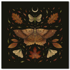 Autumn Moth Gallery-Wrapped Canvas Wall Art
