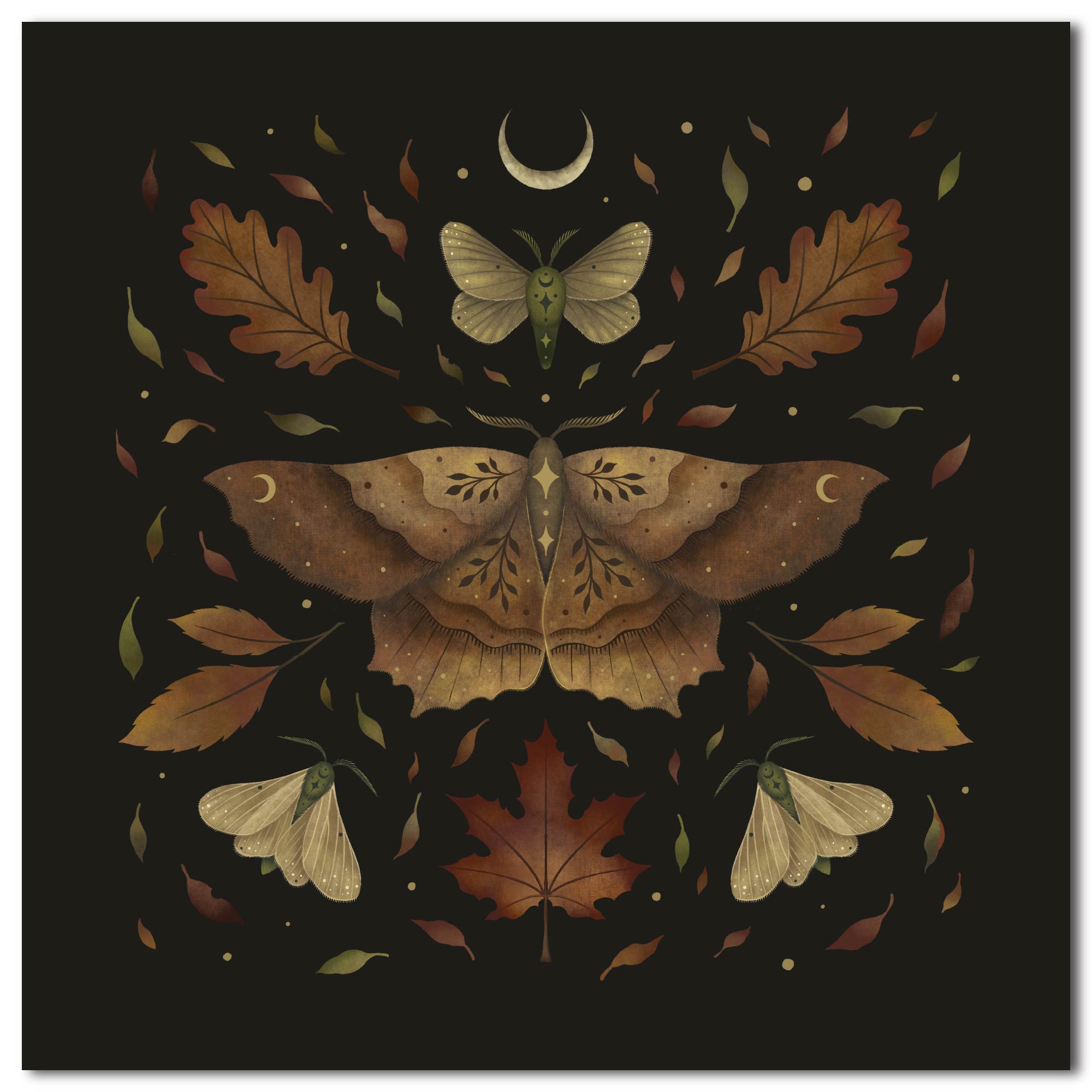Autumn Moth Gallery-Wrapped Canvas Wall Art