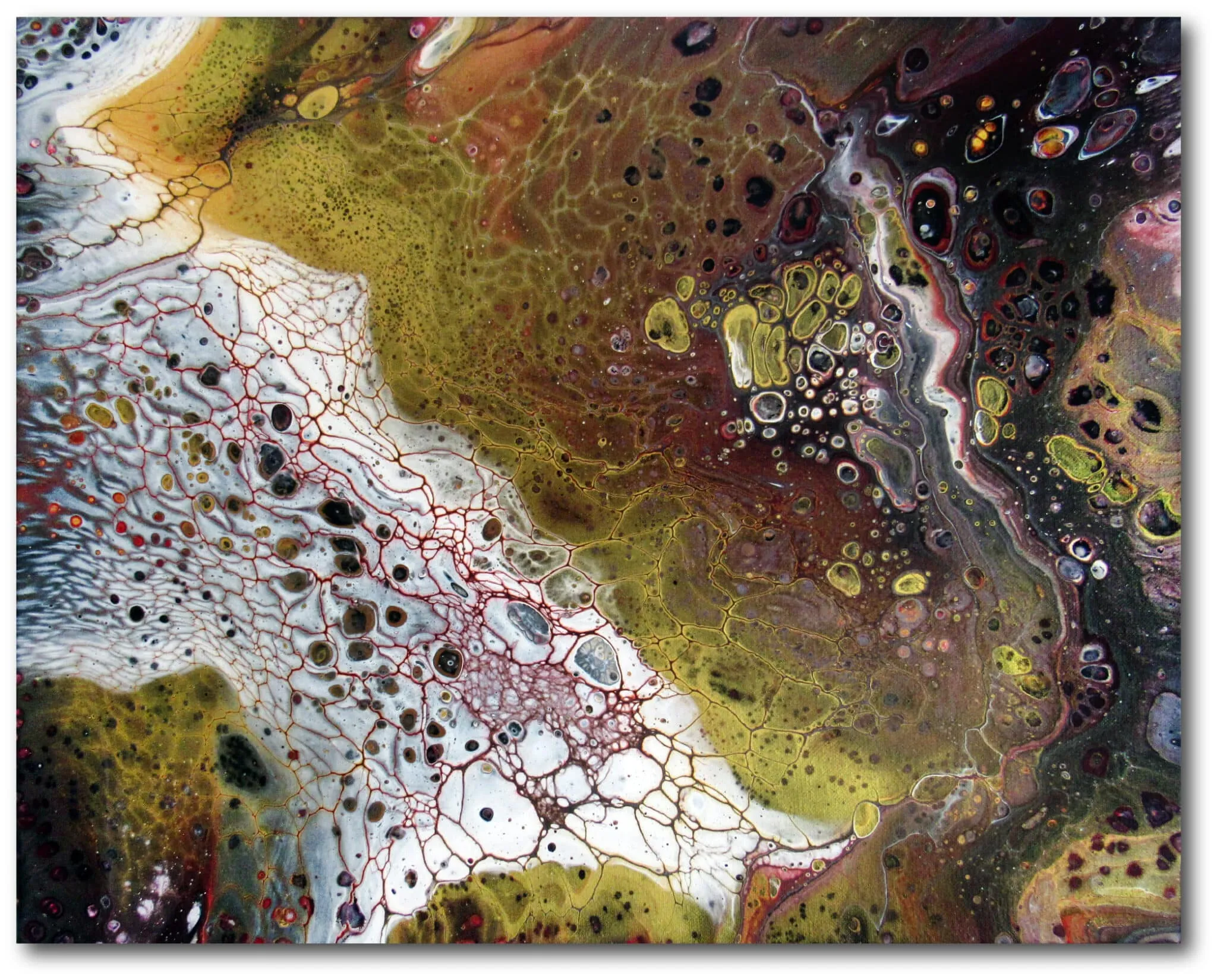 Denise Anderson Moonstruck Gallery-Wrapped Canvas Wall Art