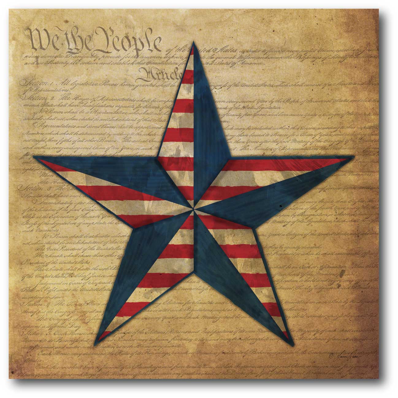 Flag Star I Gallery-Wrapped Canvas