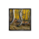Winding Through the Wind Statement Framed Wood Decor