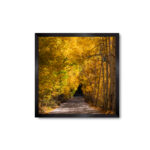 Golden Path 30″x30″ Statement Piece – Framed Wood Decor