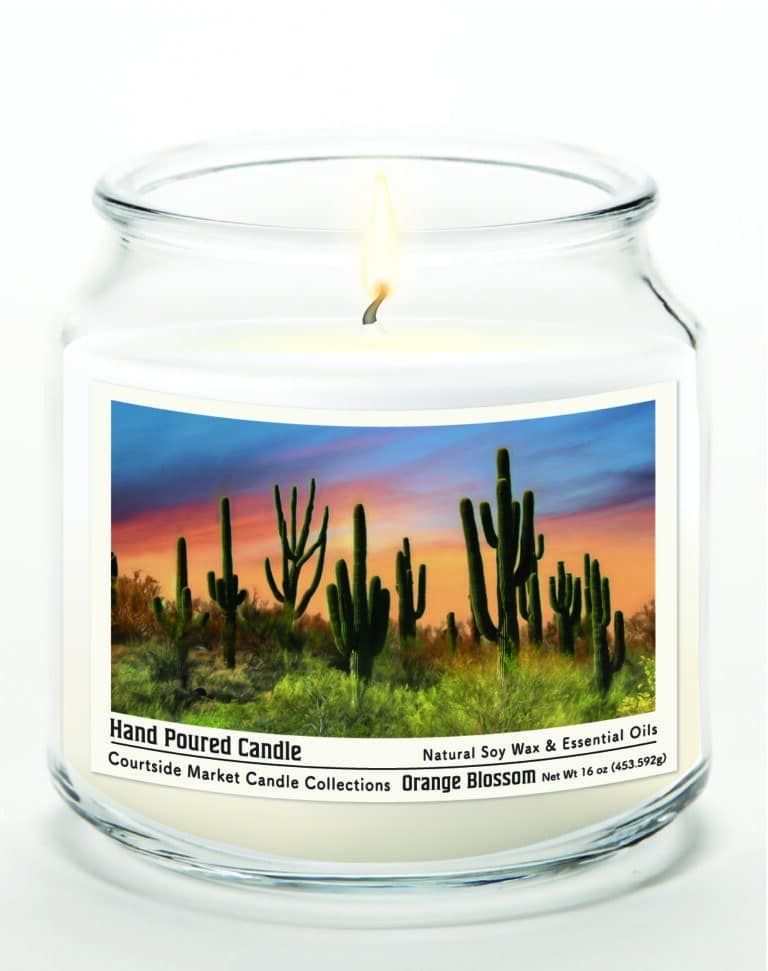 16 oz Pheonix Cactus Soy Wax Candle Glass Jar