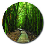 Emerald Path Statement Wood Decor