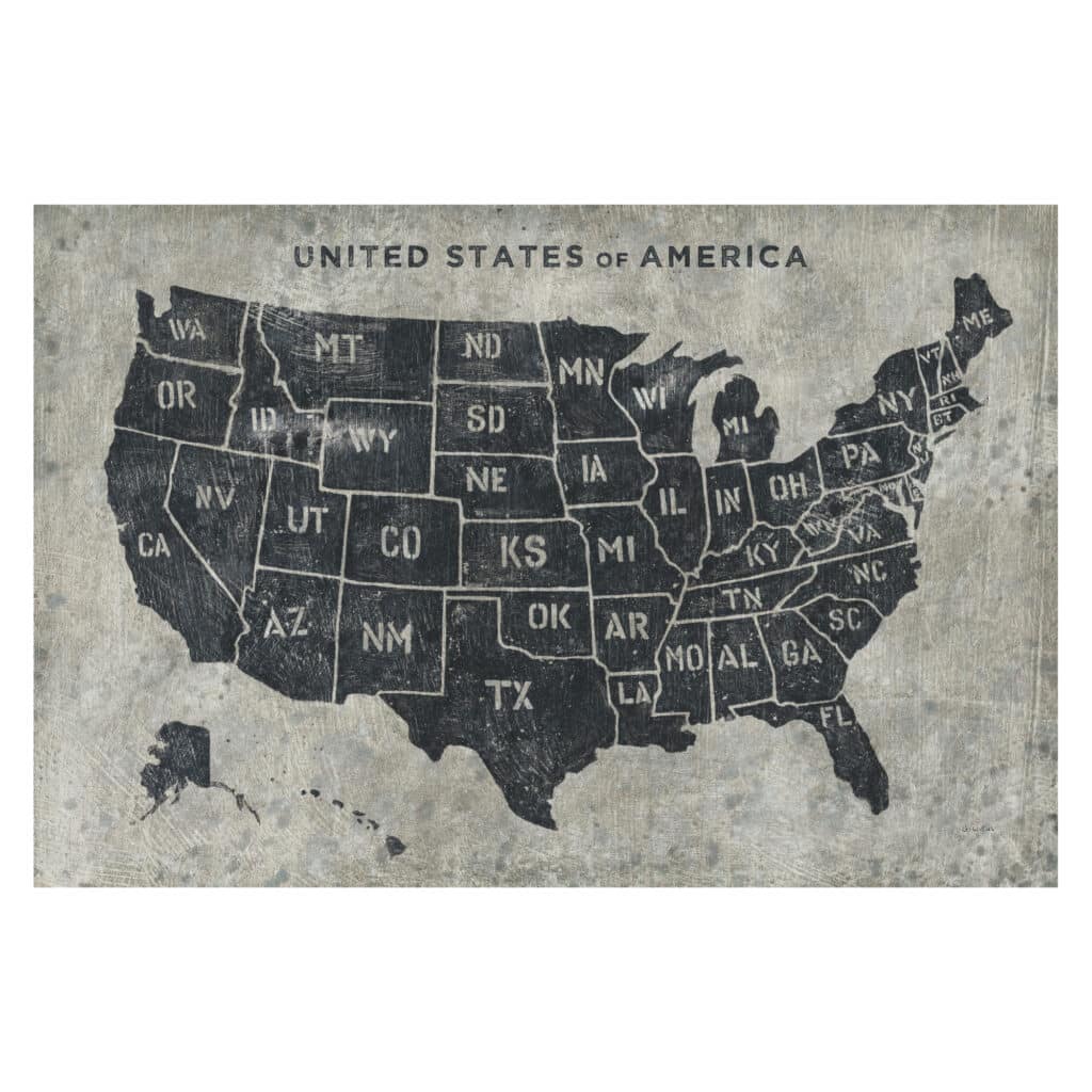 USA Map Organics Gallery Art Wall Mural
