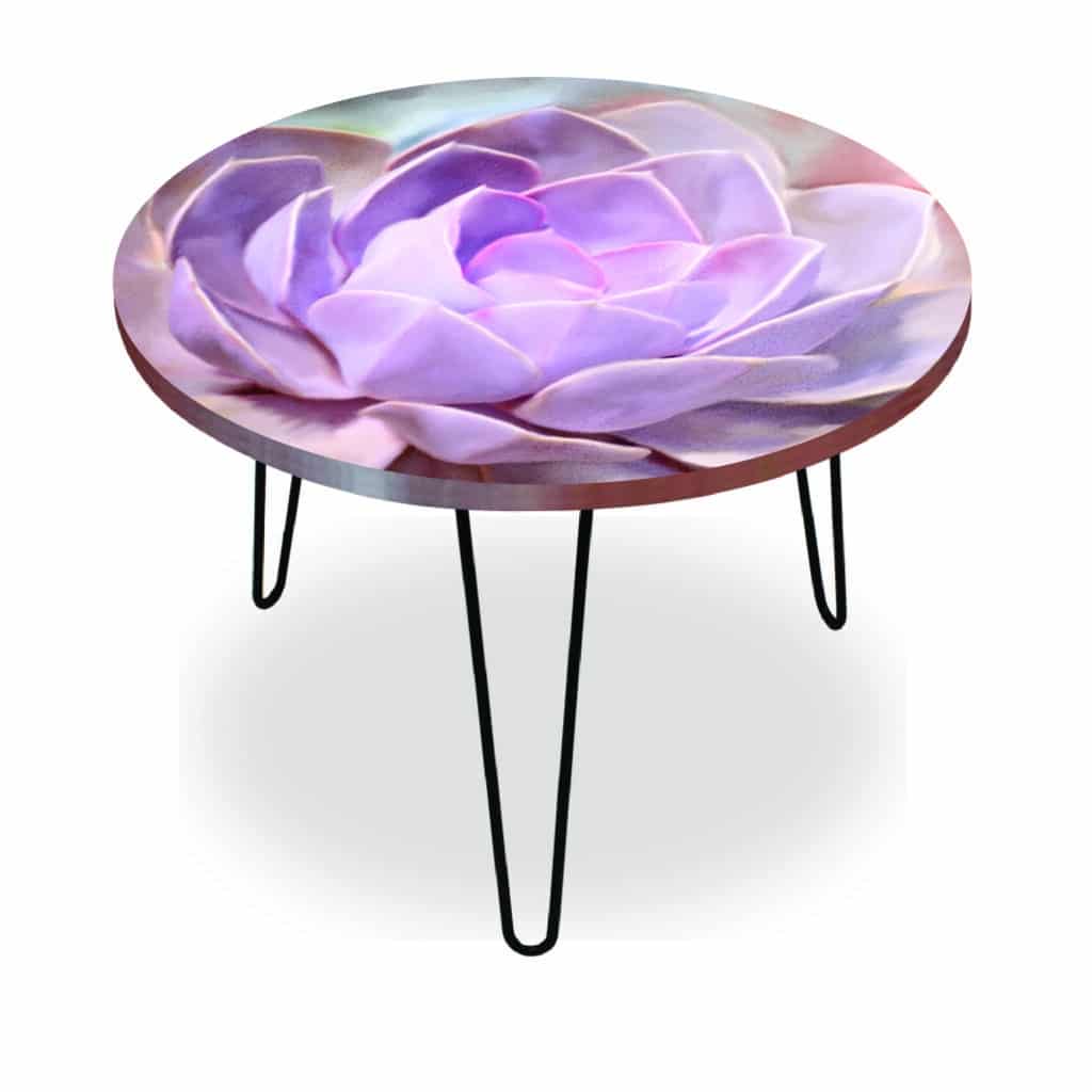 Painted Succulent I Round 24″x24″ Indoor/Outdoor Table