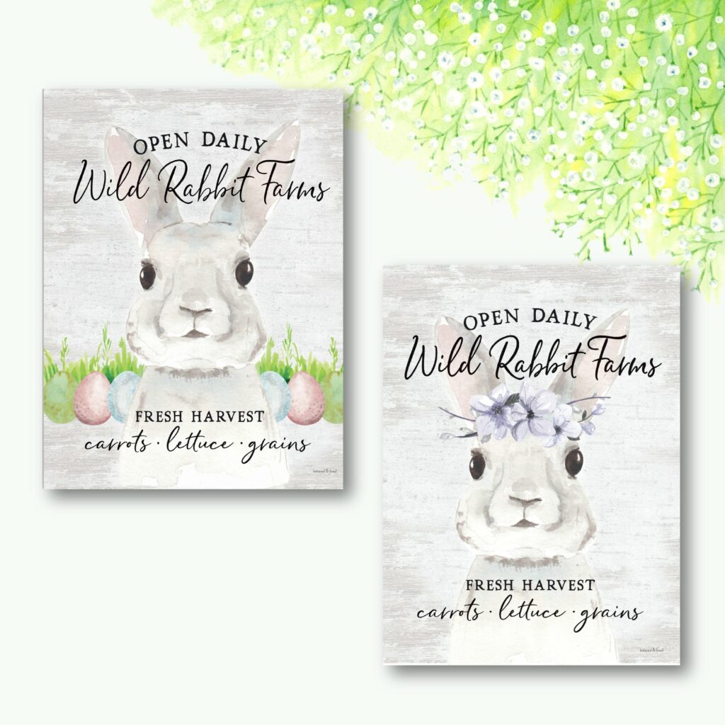 Rabbit Farms 2 Piece Gallery Wrapped Canvas Set