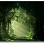 Emerald Forest Gallery-Wrapped Canvas