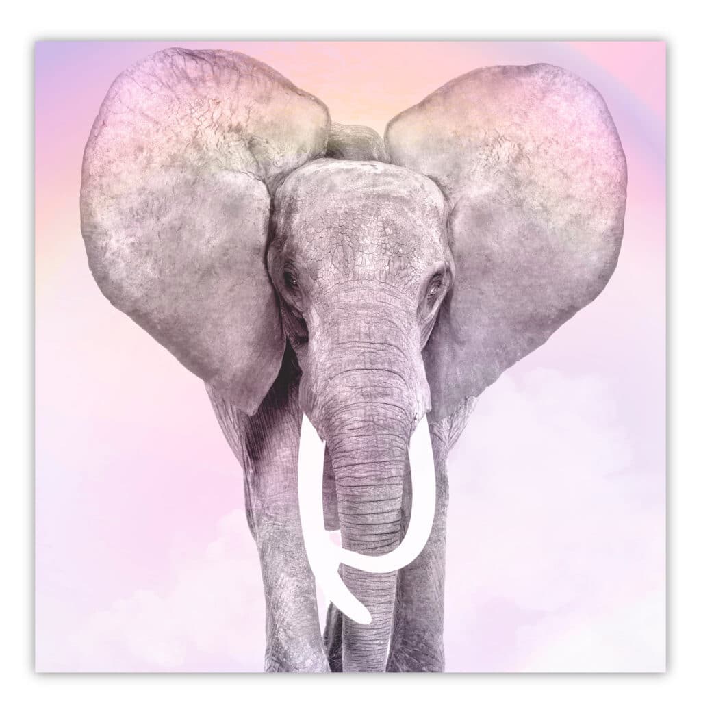 Pink Elephant I Gallery-Wrapped Canvas