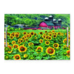 Read born and the sunflowers 14″x20″ Indoor/Outdoor Decorative Tray